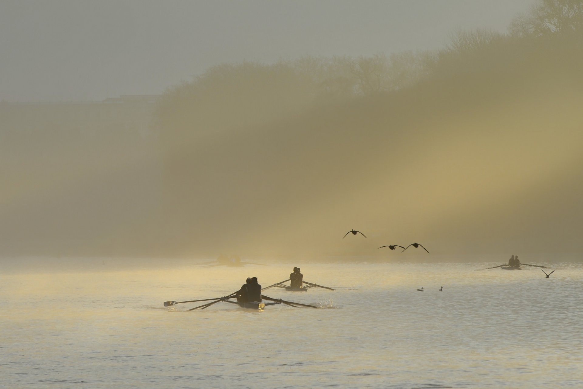 morning fog river boat