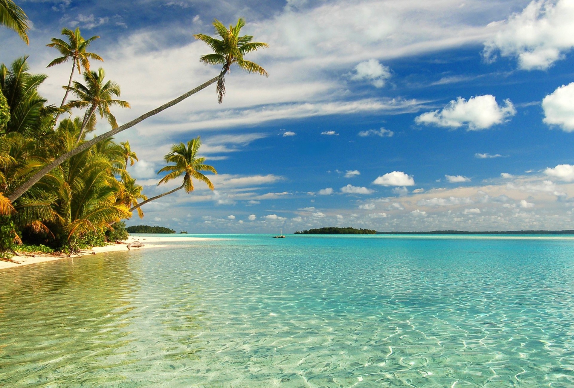 beach palm clouds sky sea sand