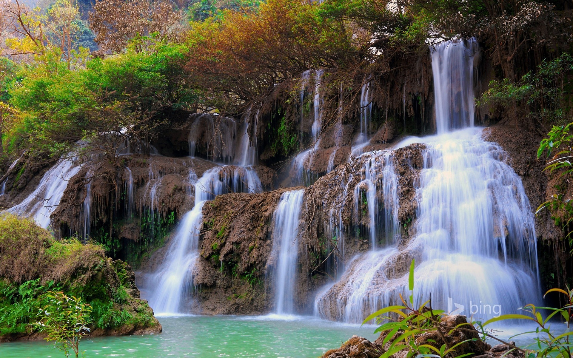 foresta cascata giacca