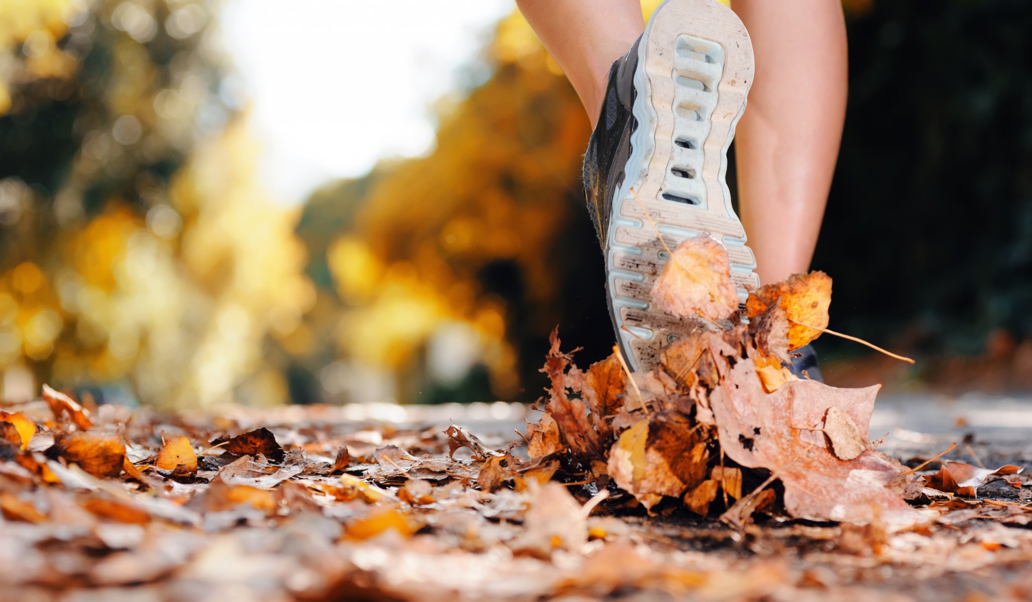 turismo esercizio foglie scarpe sportive