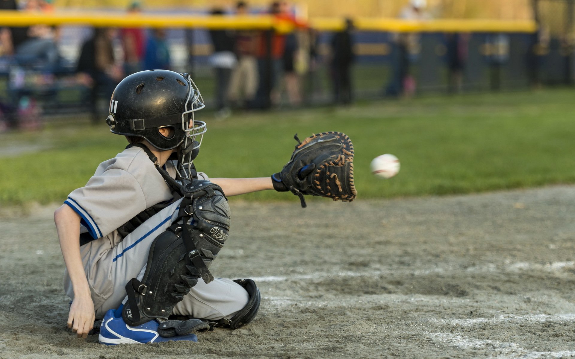 baseball little league sport