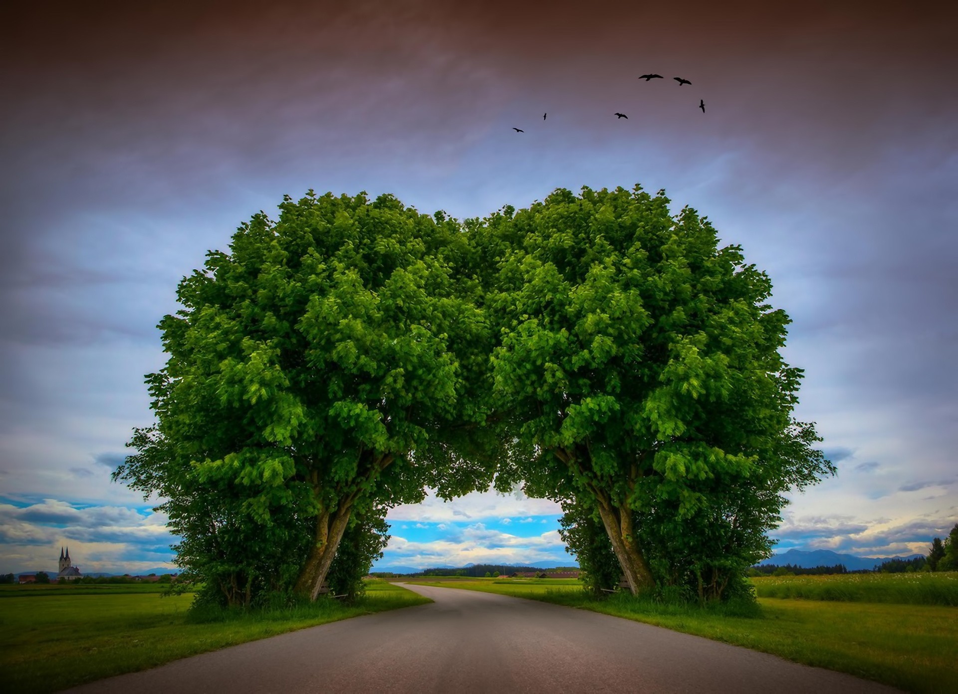 arco árboles paisaje camino aves