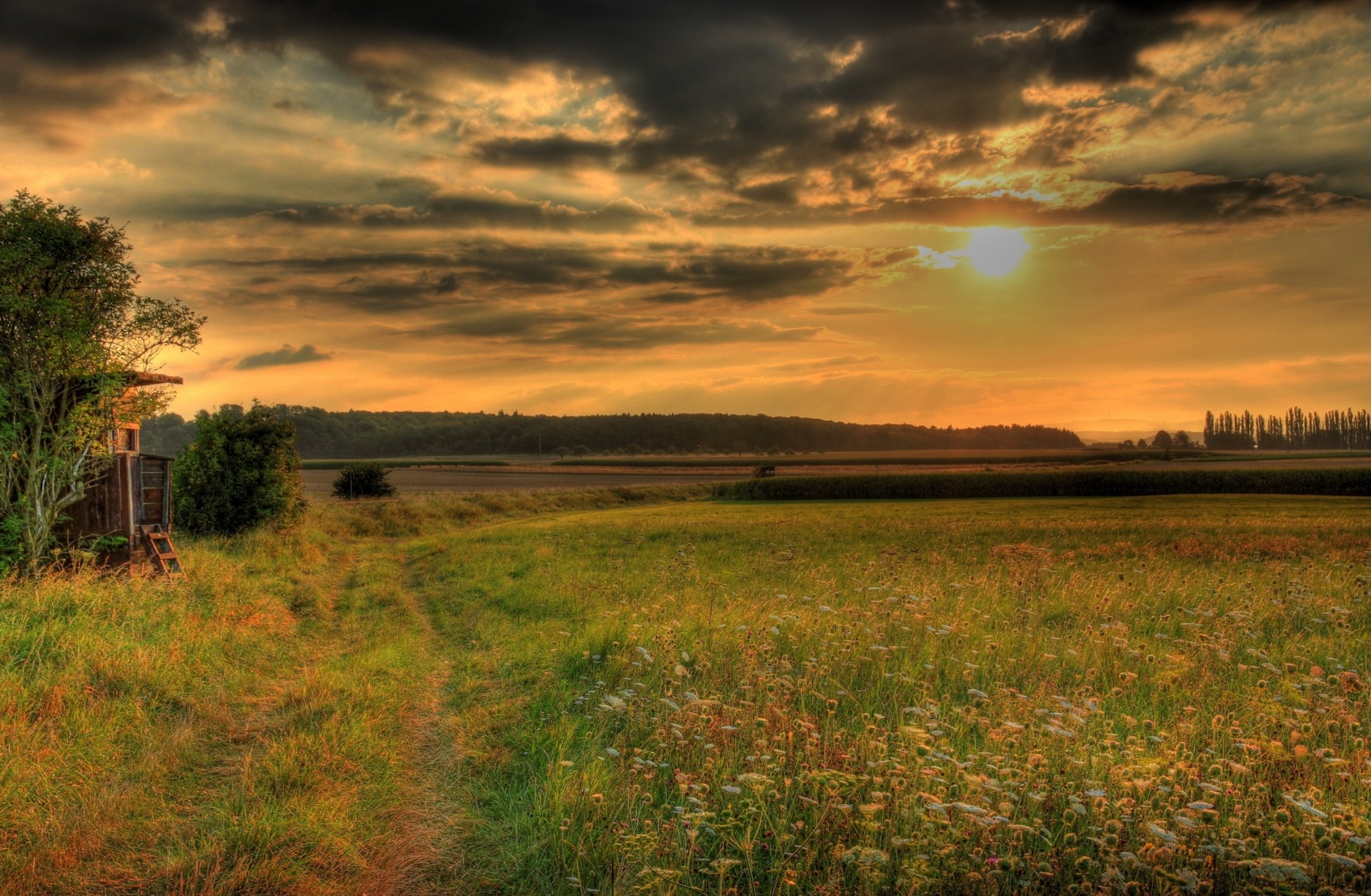 prairies nature herbe hesse ciel allemagne hdr