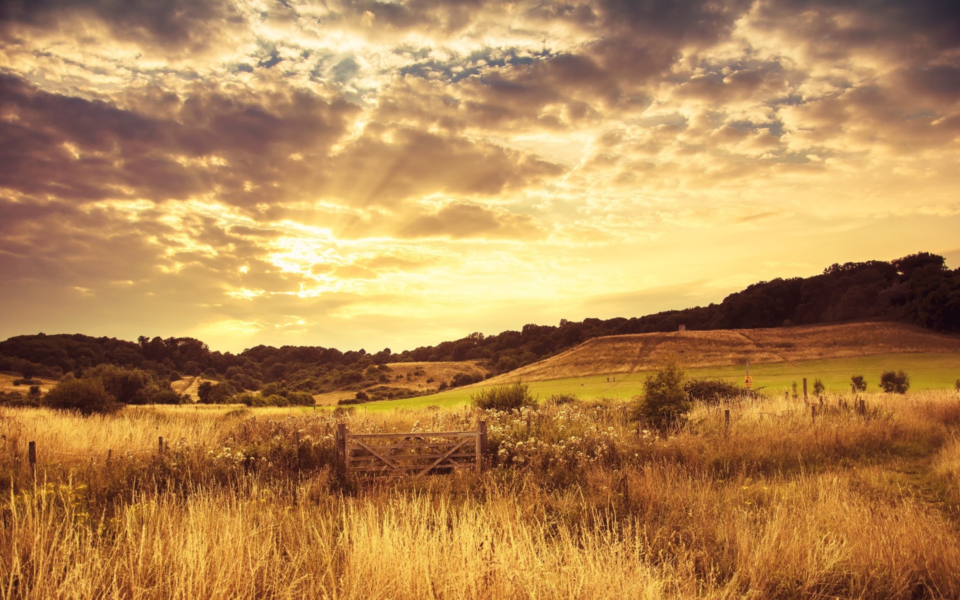 landschaft natur toskana sonnenuntergang hügel