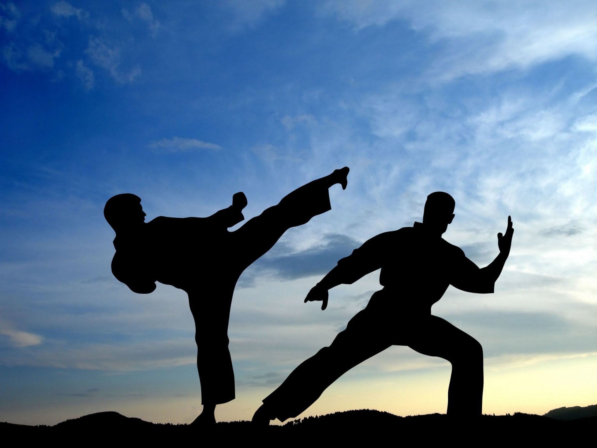 ports karate fight outright shadow silhouettes men strike martial arts wallpaper sky