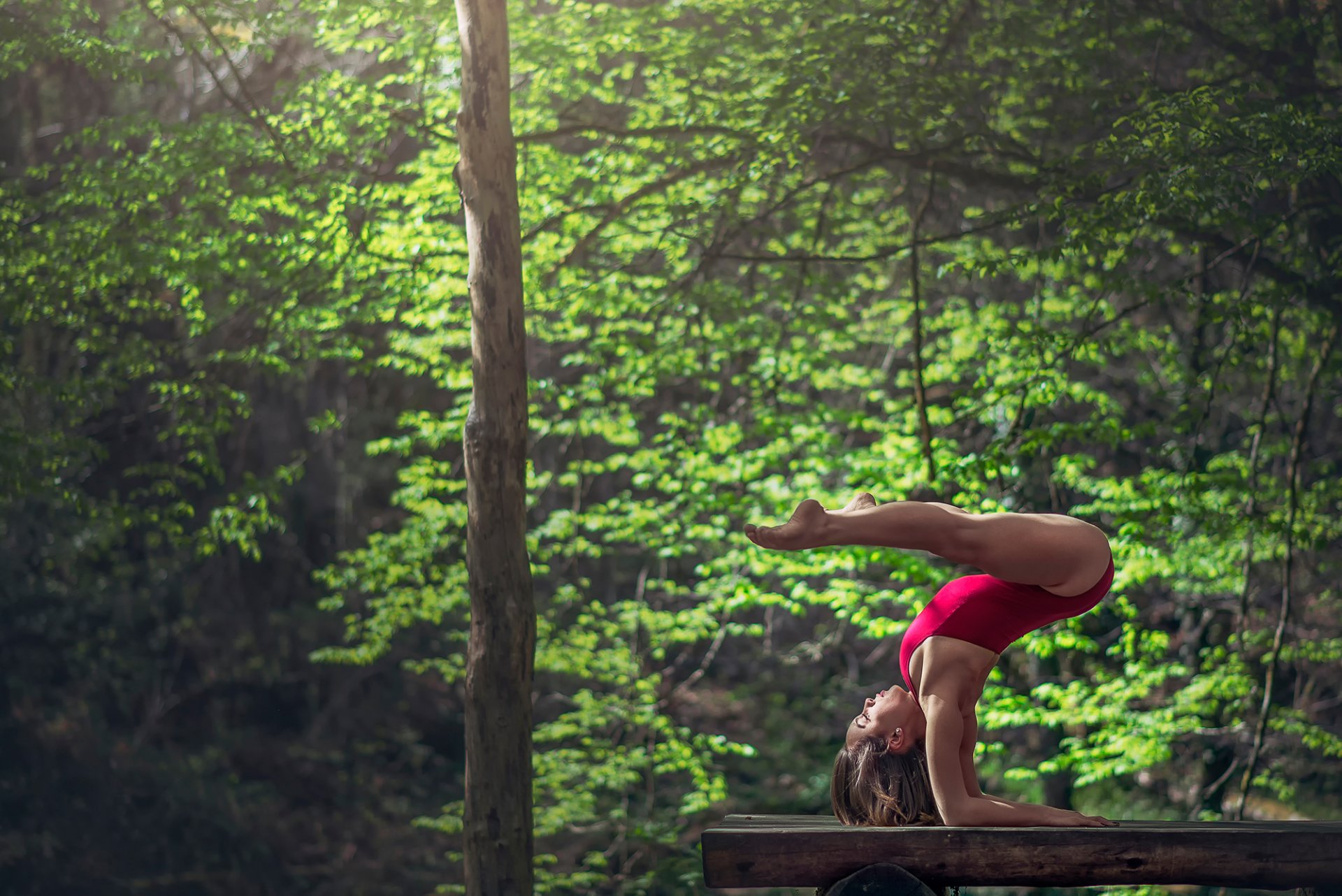 marie-lou lagrange gymnast log exercise graz