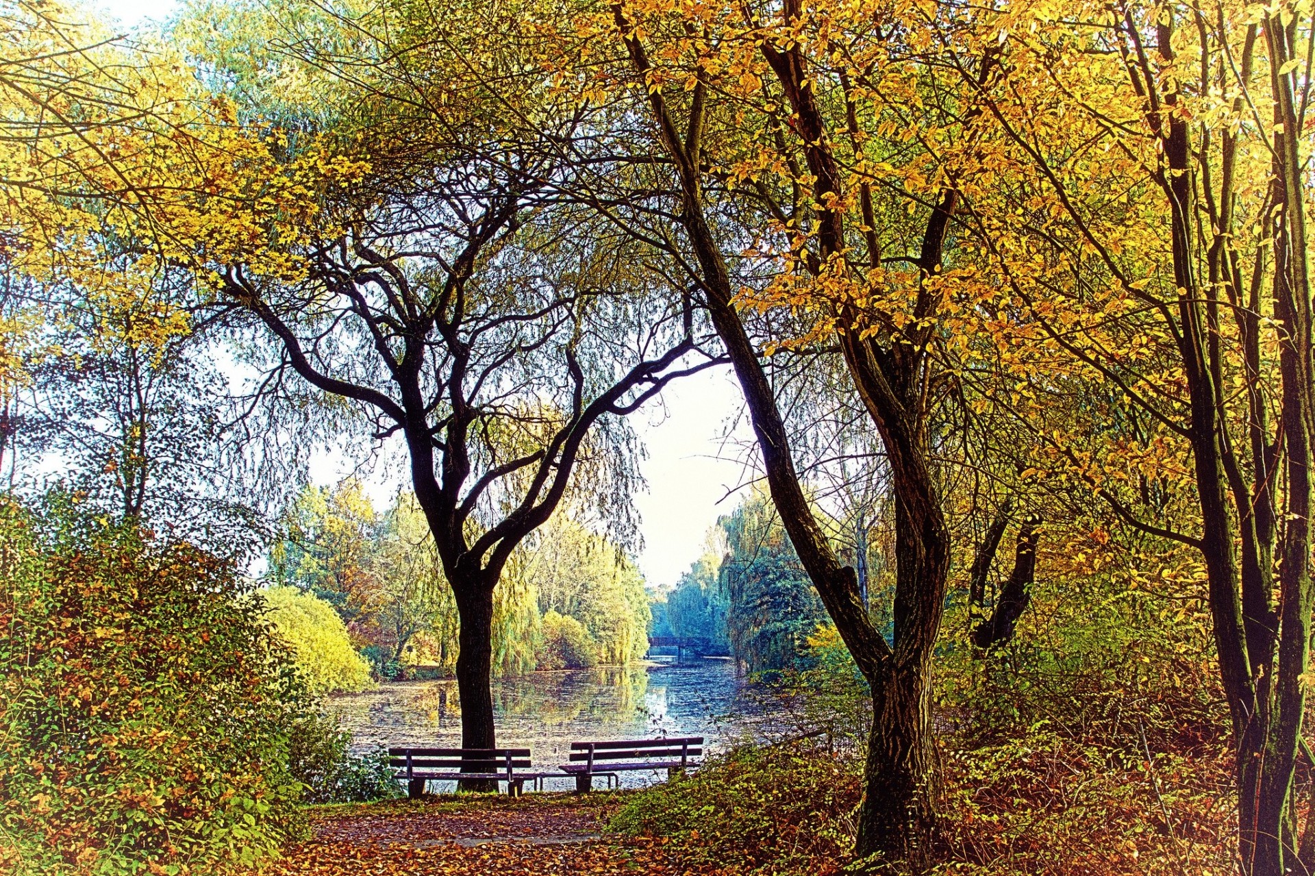 herbst see park bänke