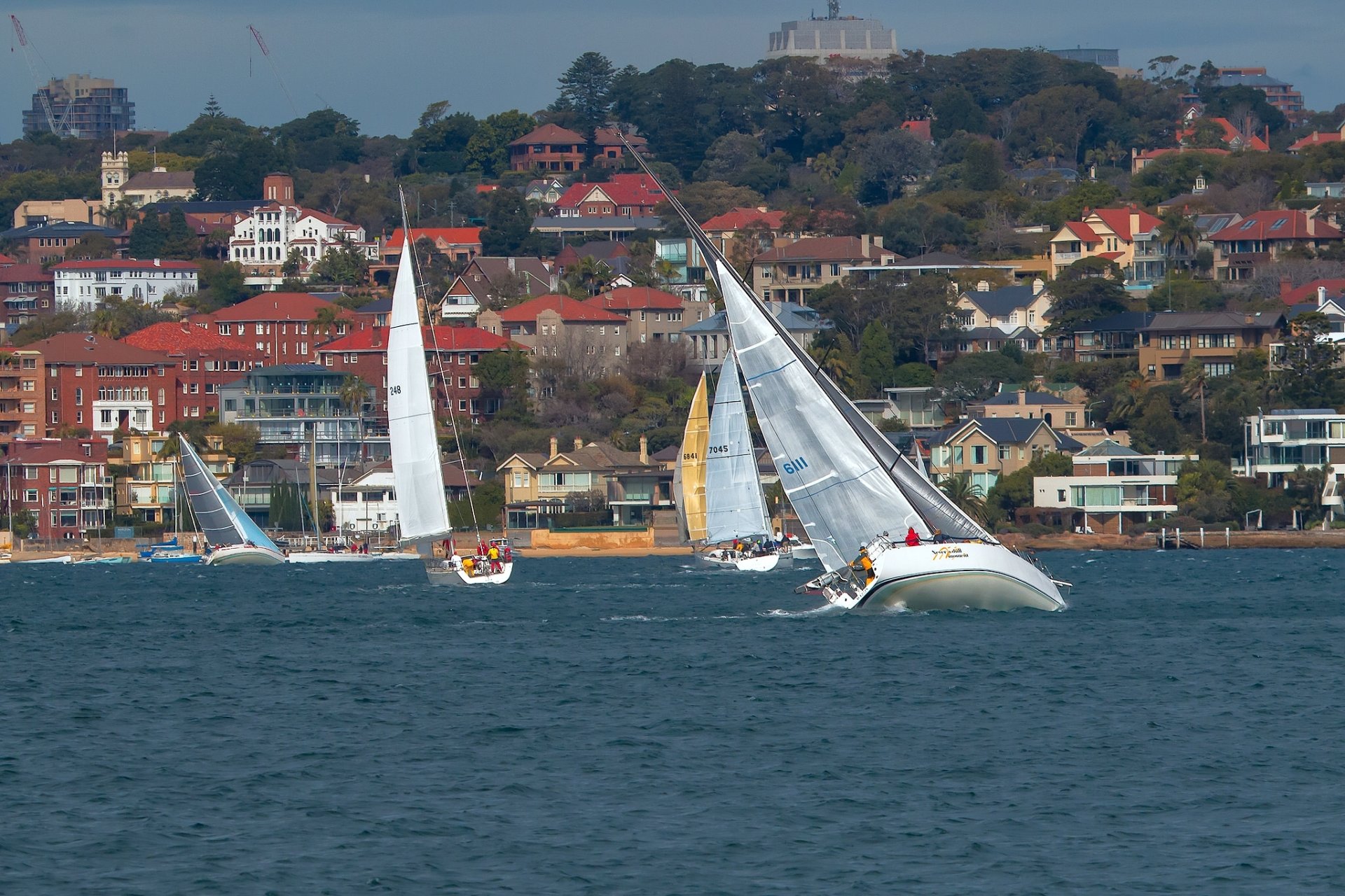 puerto de sídney sydney australia bahía de sídney yates regata edificios