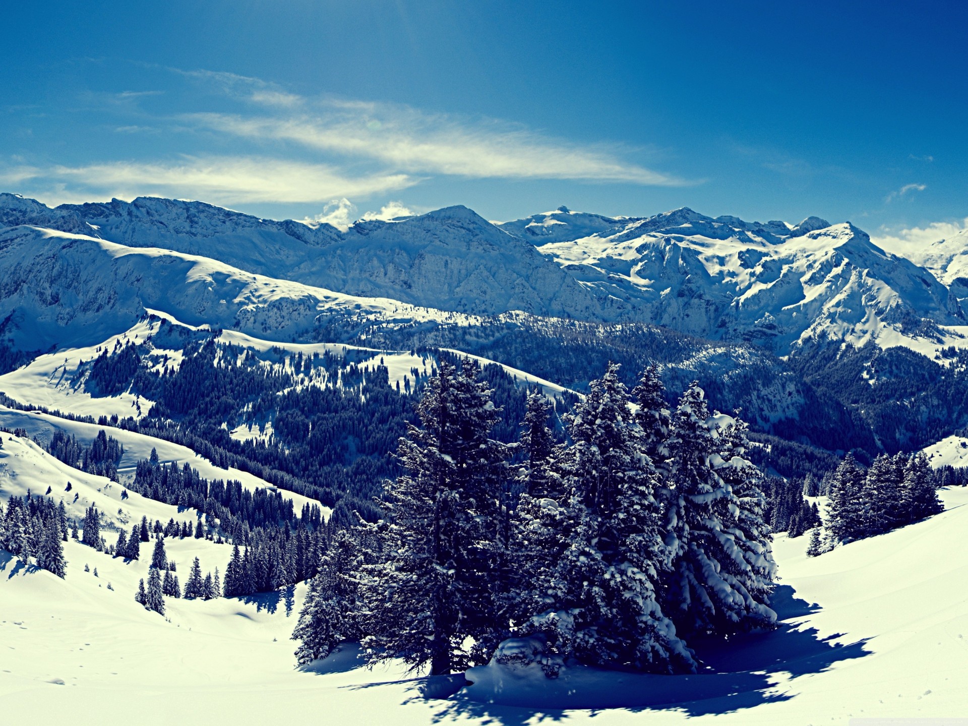 winter landscape mountain