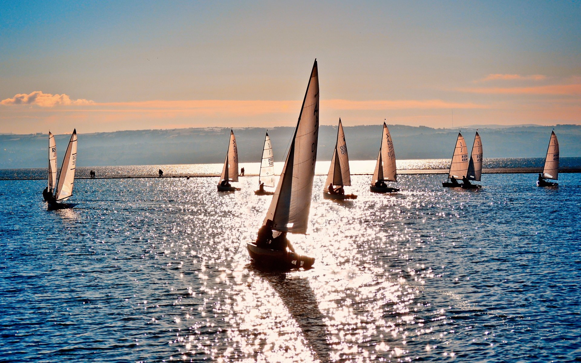 ailboats at sea sea yacht sports nature