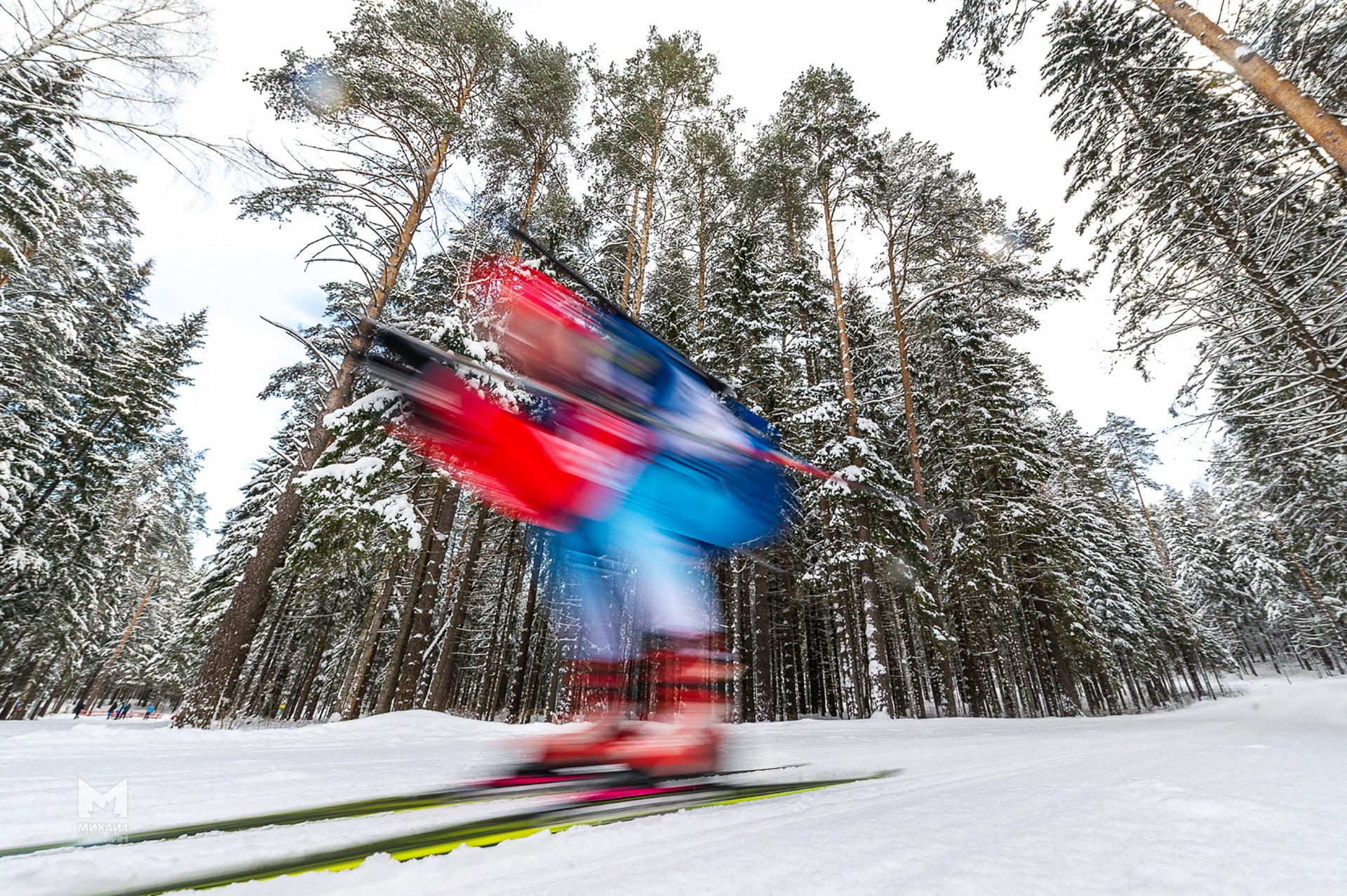 biathlete biathlon speed forest winter