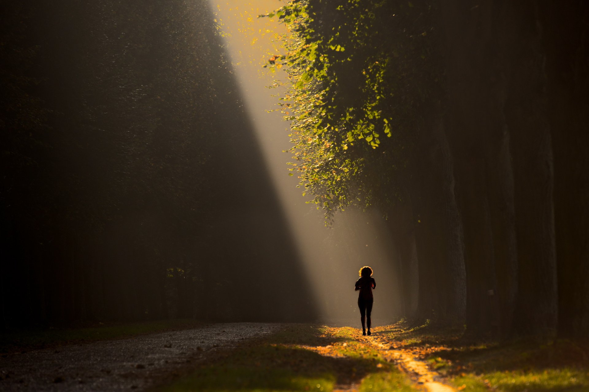 morgen licht laufen sport