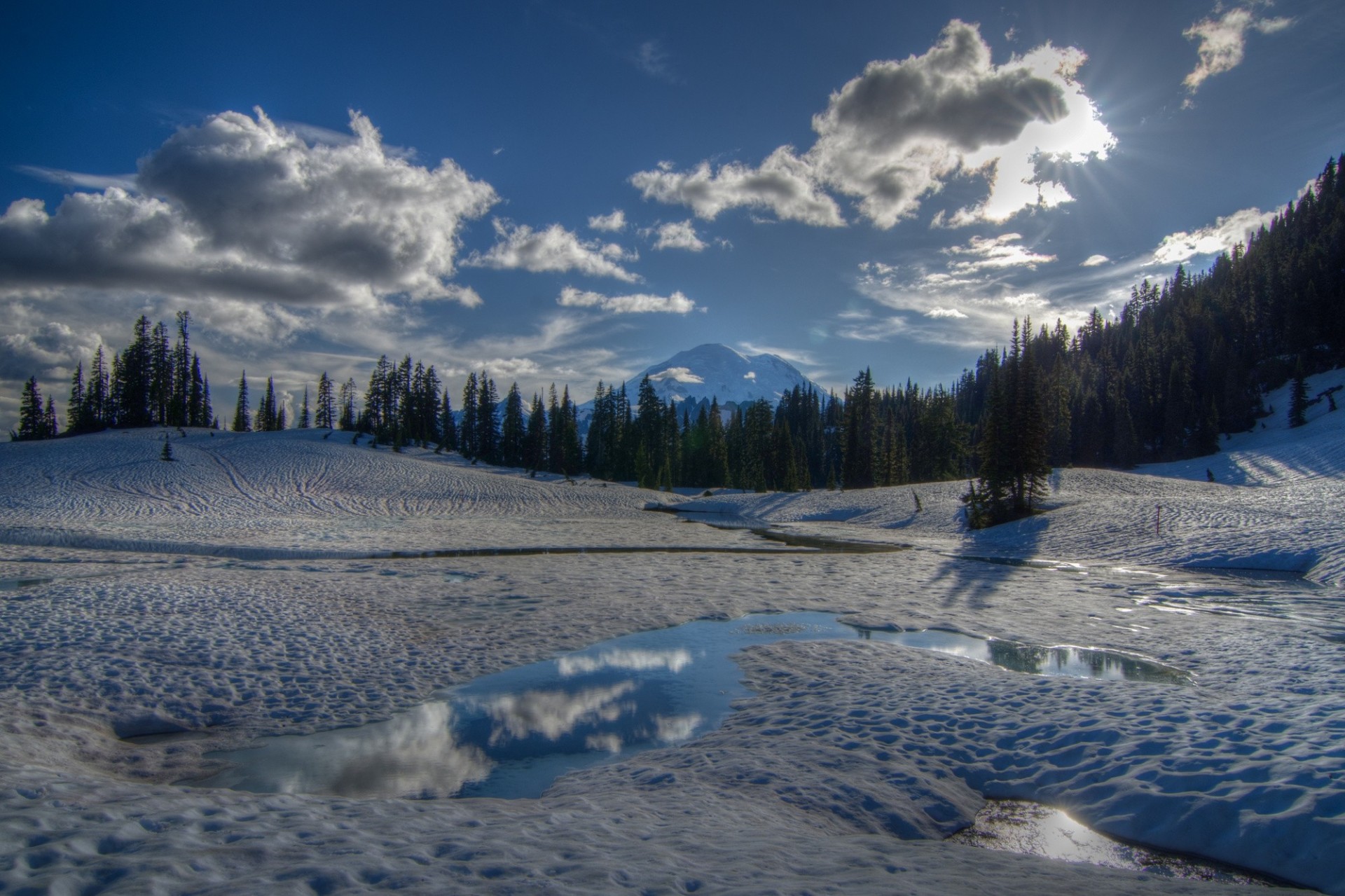 winter washington wald schnee mount rainier berg bäume