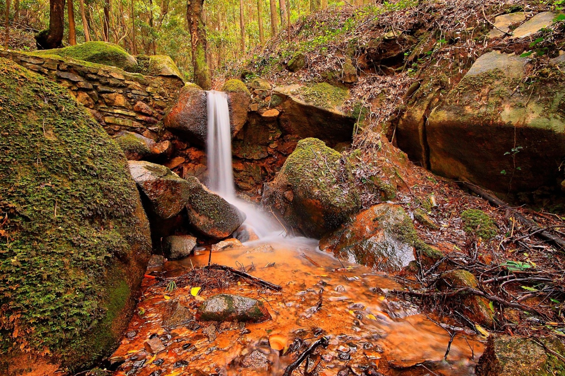 pierres forêt cascade nature