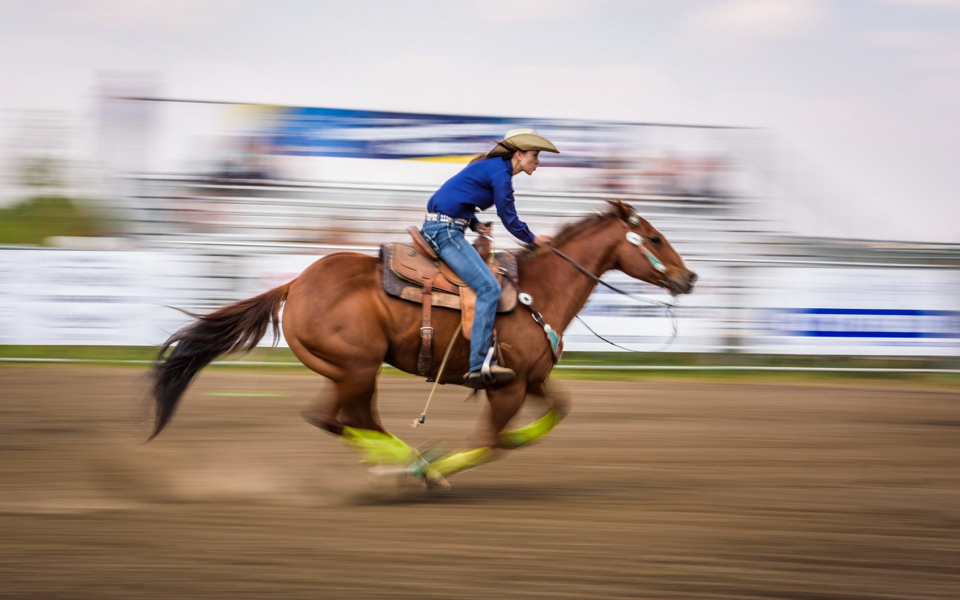 caballo correr deporte