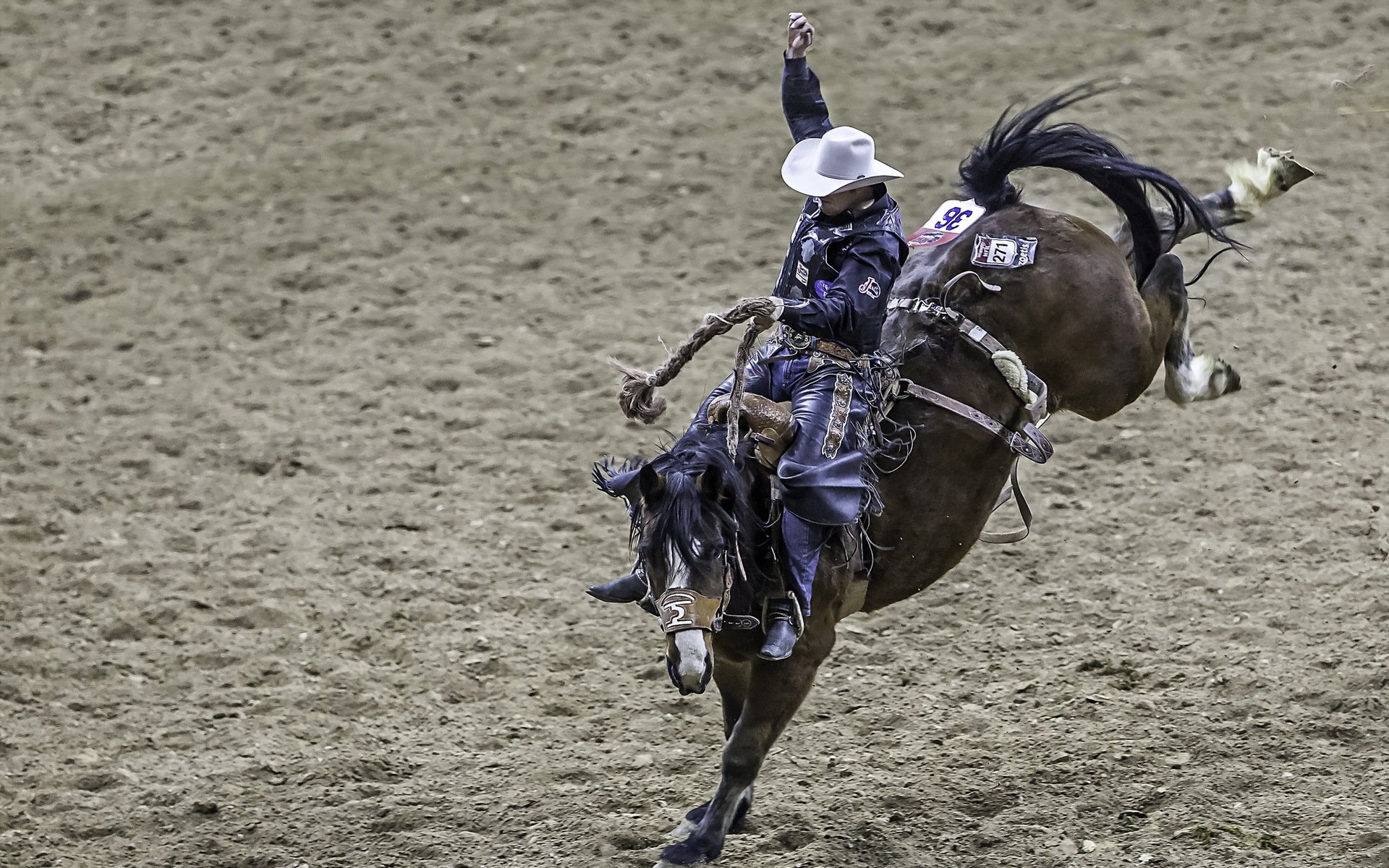 rodeo cowboy sport