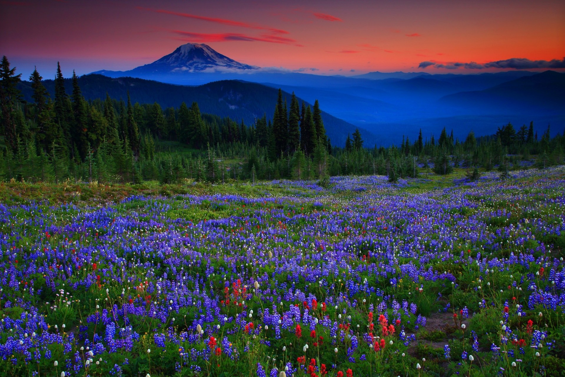 prairies paysage montagnes alpes coucher de soleil