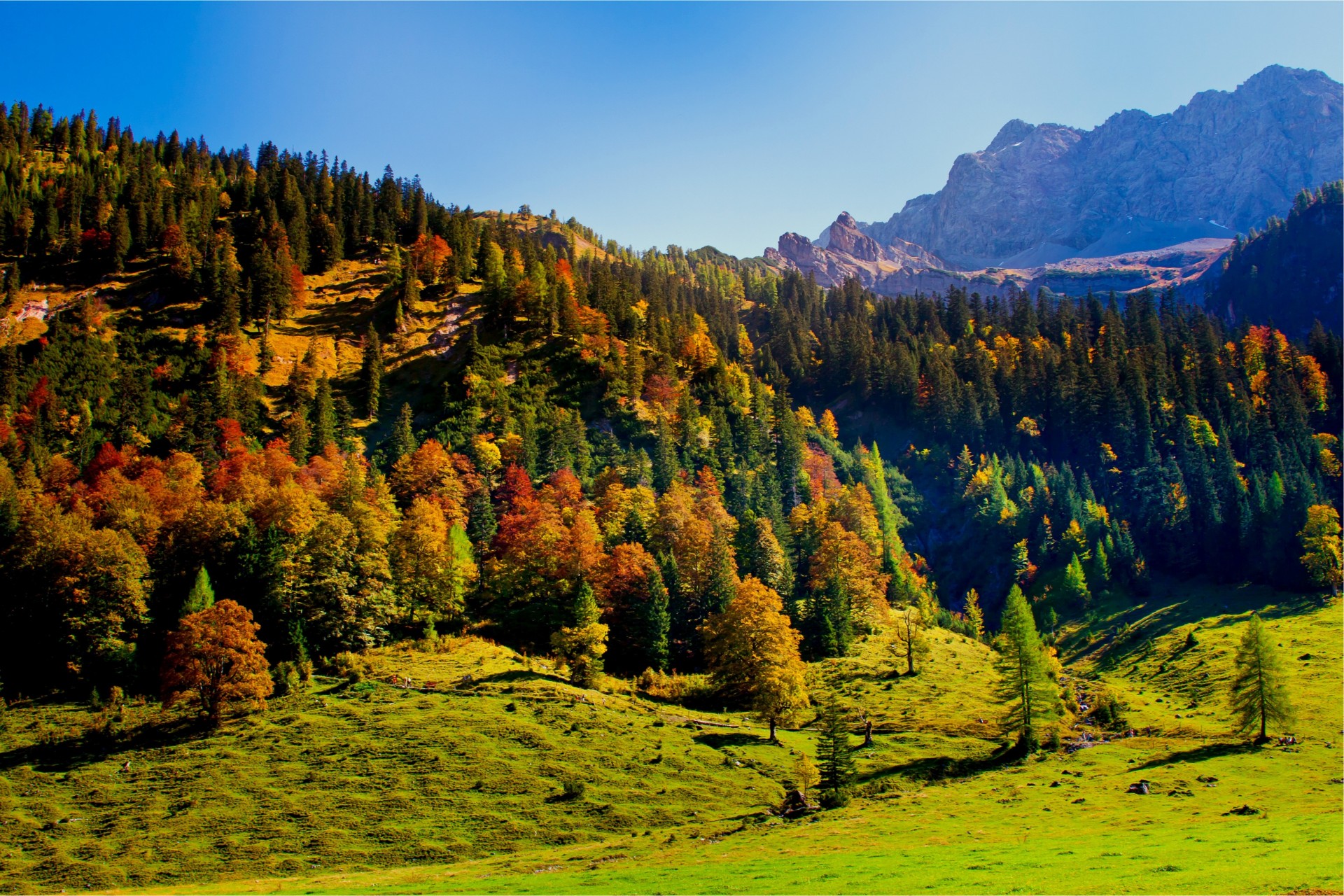 wzgórza drzewa niebo tyrol karwendel góry austria