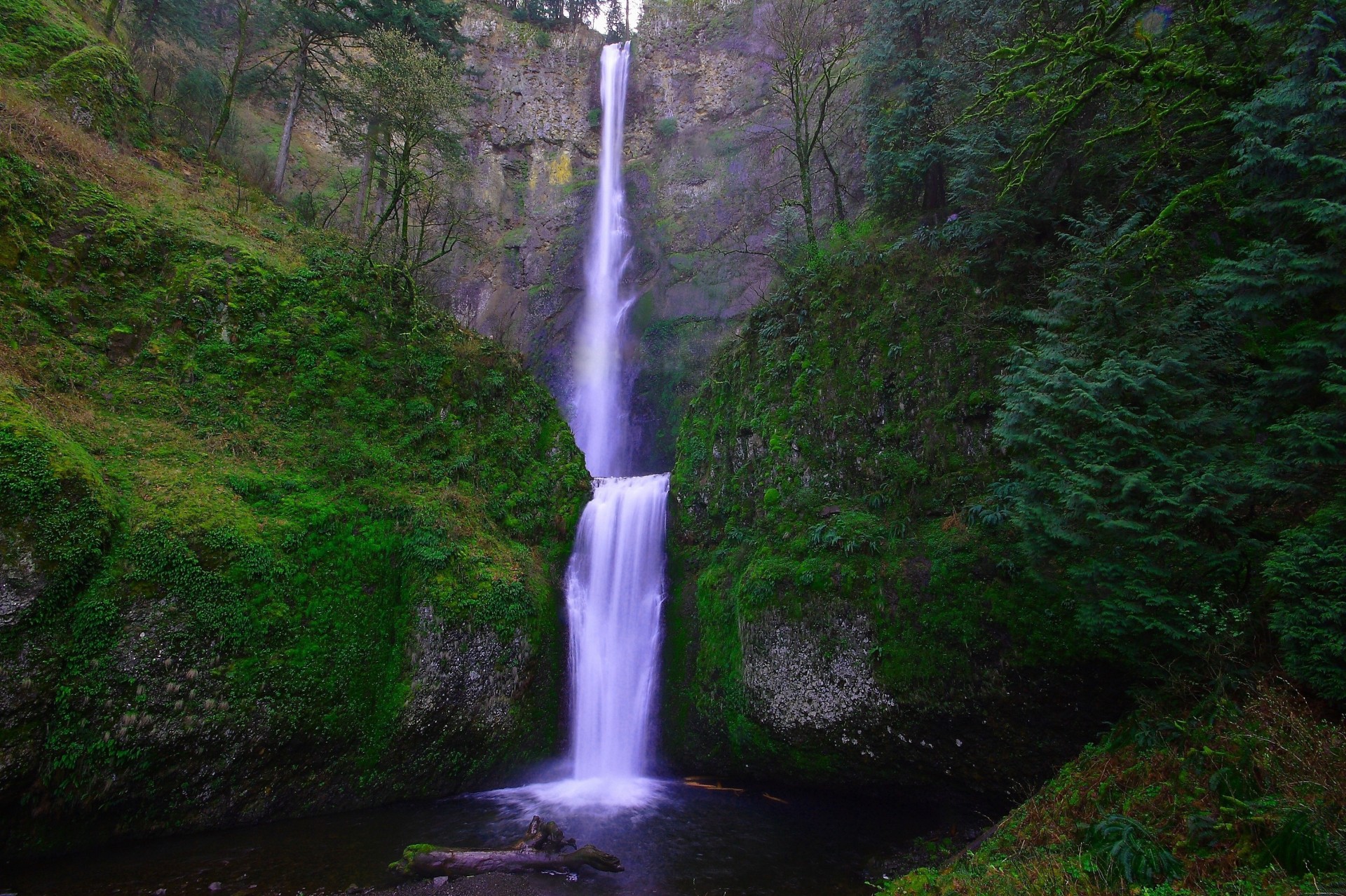 alberi muschio cascata rocce natura