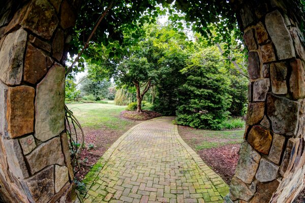 Arco di pietra e e Sentiero nella foresta