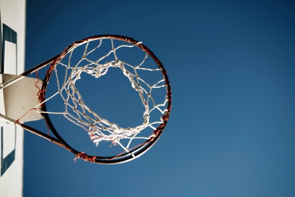 Campo da basket sportivo nella tua zona, sii più vicino allo sport