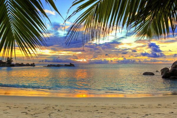 Paradiesstrand, blaues Meer und Palmen