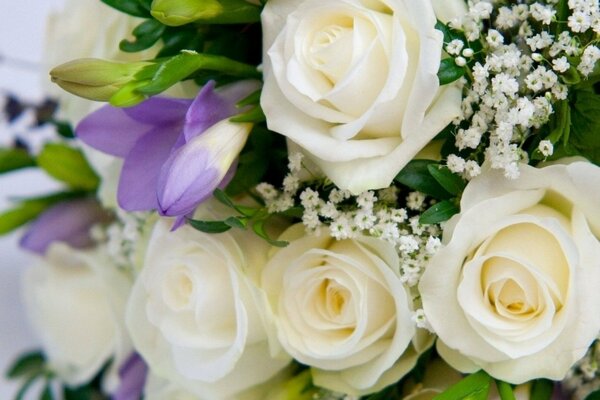 Beau bouquet de roses blanches