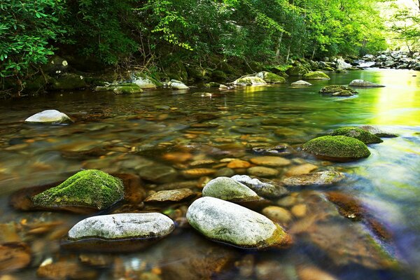 Pietre grigie in acque poco profonde del fiume