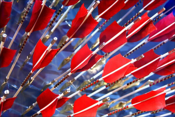 Flèches pour arc blanc rouge