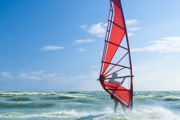 Mer bleue et homme sportif