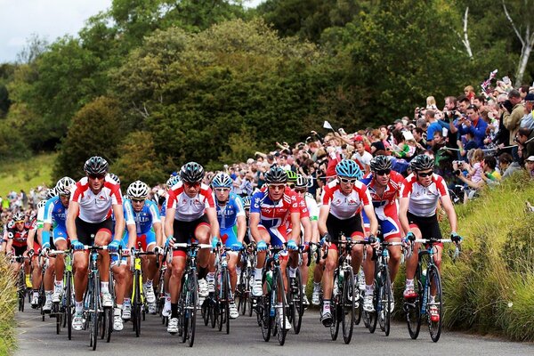 Fond d écran de course de vélo dans la forêt