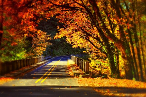 Route d automne. Promenade sur le pont