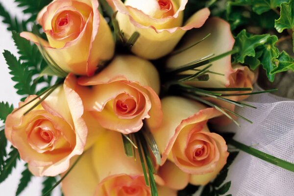 Bouquet of beautiful pink roses