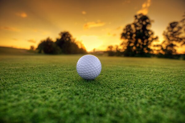 Golfball auf dem Rasen vor dem Hintergrund der Morgendämmerung