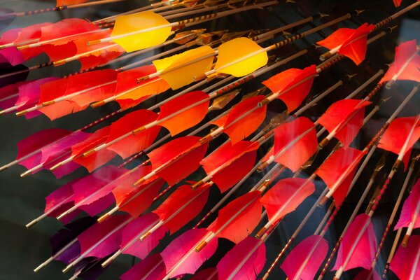 Bow arrows of different colors