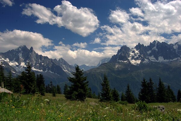 Bella natura con vista sulle catene montuose e sulla foresta