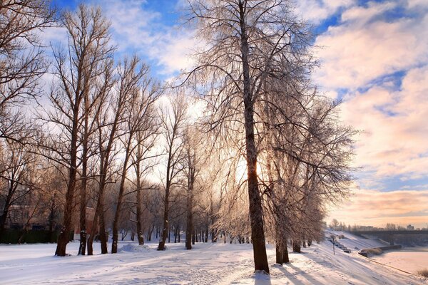 Winterlandschaft auf blauem Himmelshintergrund