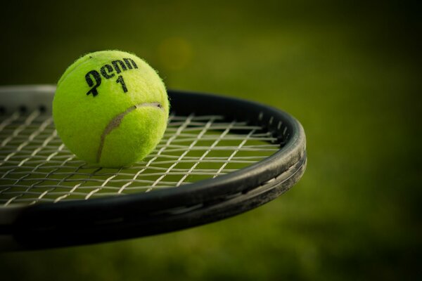 Tennisball auf einem Tennisschläger