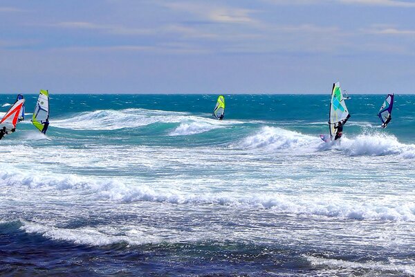 Siete surfistas en tablas con velas