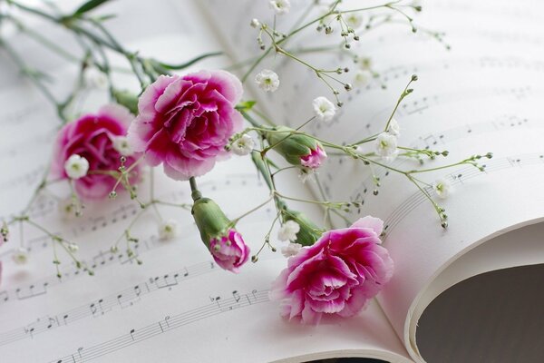 Pink and white carnations on a music notebook