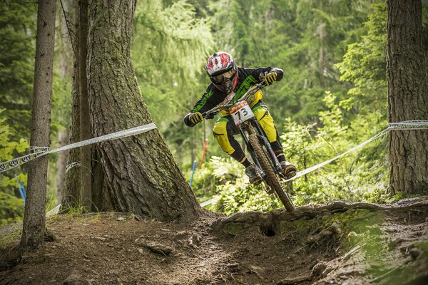 Bicycle race in the forest off-road