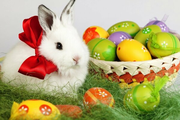 Coniglio bianco e uova di Pasqua