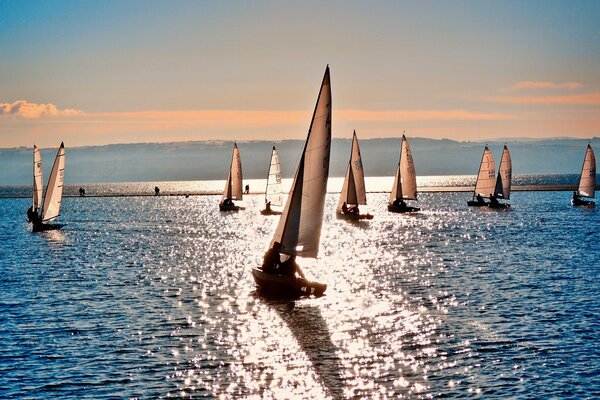 Barche a vela sul mare ai raggi del tramonto