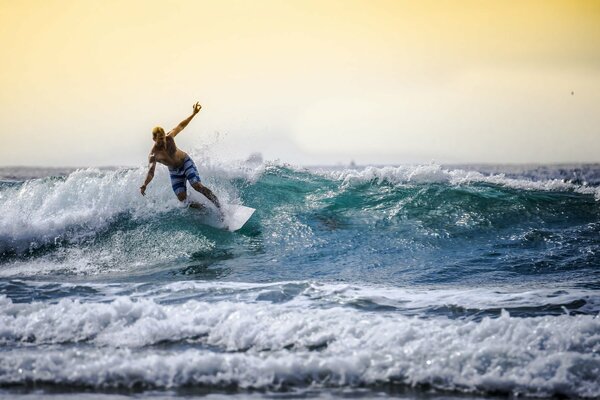 Surfer erobert die Meereswelle