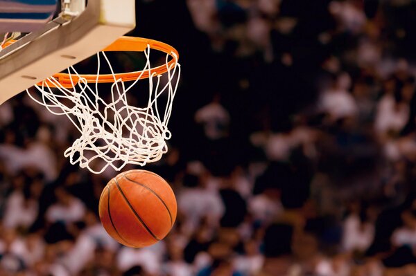 Pelota de baloncesto anotada en la red