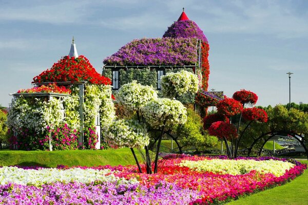 Jardins de Dubaï avec un parterre de fleurs colorées