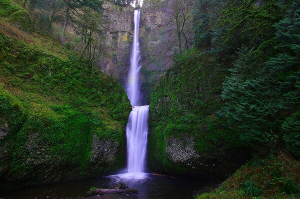 Wasserfall zwischen den Felsen. Wildtiere