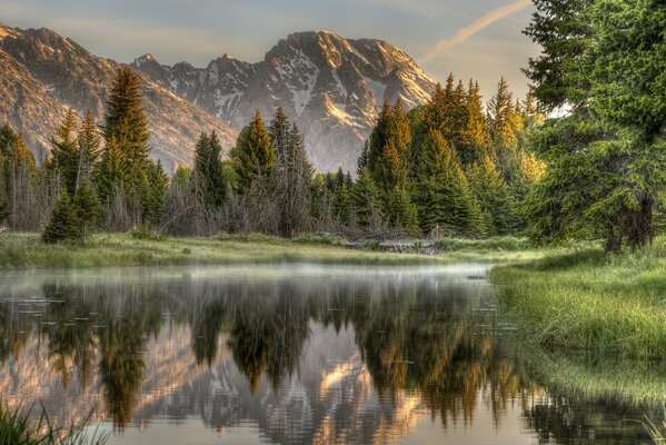 Fog by the lake in the forest at the foot of the mountains