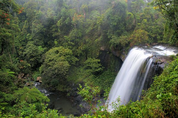 Ein Wasserfall im schönen Queensland. Australien