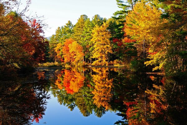 Pond in the autumn forest. Reflection of bright foliage in the blue surface of the water